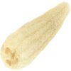 Loofah Sponge Wholesale Supplier | Whole | Raw | Bath and Body Works