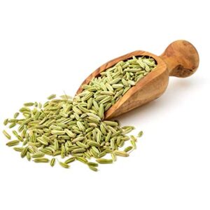 Egyptian Fennel Seeds Wholesale Supplier