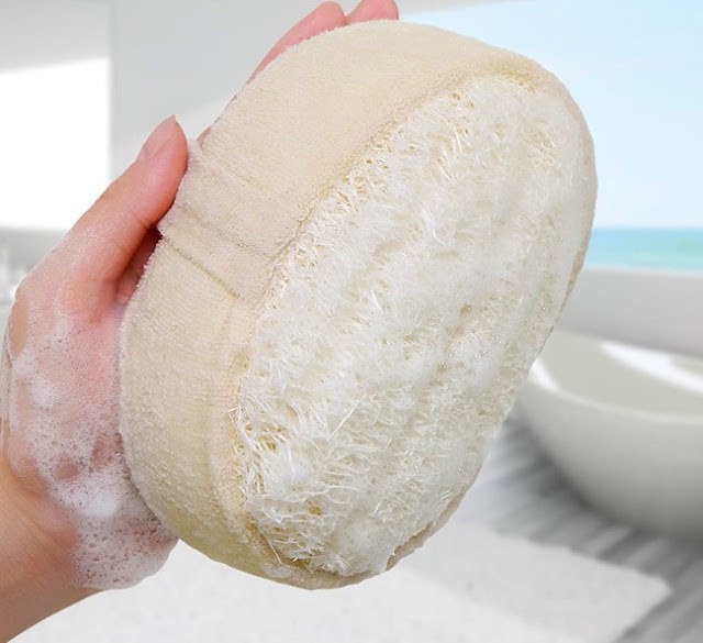 Everything You Need To Know About Natural Sponges