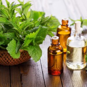 Egyptian Peppermint Essential Oil Wholesale Supplier